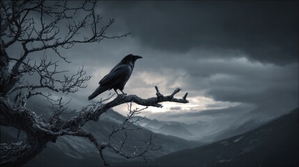 Fototapeta premium Raven perched on a bare tree branch against a moody twilight sky