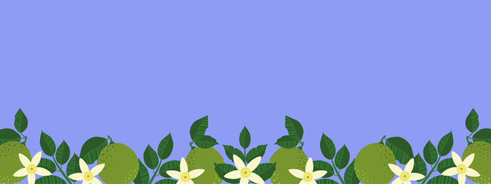 Simple citrus banner design featuring lime fruits, leaves, and flowers, with copy space on a bluish background, perfect for web designs, organic product ads, juice packaging, and summer sales.