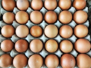 Close-up of fresh raw chicken eggs placed in a row in a neatly arranged egg tray. Top view