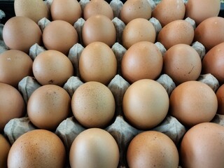 Close-up of fresh raw chicken eggs placed in a row in a neatly arranged egg tray. Top view