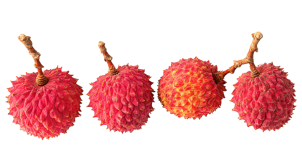 Four red flowers bloom on a stark black background deep red petals contrast sharply with the dark setting