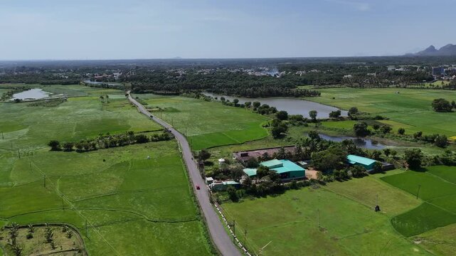 This serene drone shot captures the essence of Indian agriculture. Vibrant green fields and natural water highlight fertile land. The lone road symbolizes the transport lifeline for farming community