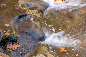  water in notion at willard brook
