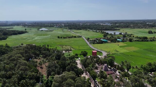 A serene aerial view captures a South Indian temple complex nestled within lush greenery. A road winds through vast bright green paddy fields and coconut groves, the peaceful of rural life
