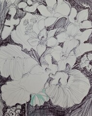Hand made drawing of flowers by black ink 