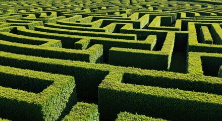 Aerial view of a large, complex hedge maze on a sunny day