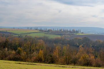 Naklejka premium Autumn landscape, Terrain hilly countryside in Zuid-Limburg, Small houses hidden on hillside, farm and forest, Eys is a village in the municipality of Gulpen-Wittem and region in Limburg, Netherlands