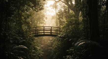 Bridge over path in dense jungle, illuminated by sunlight filtering through trees