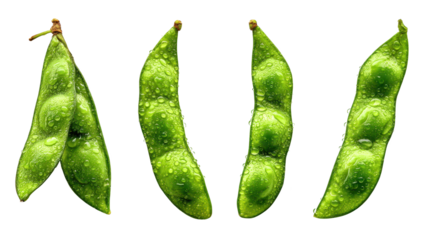 Five peas adorned with glistening water droplets fresh green peas display tiny reflective water beads