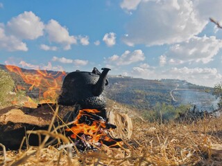 A teapot on the Firewood in nature	