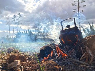 A teapot on the Firewood in nature	