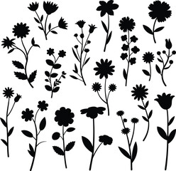 Silhouette flower collection, botanical floral design, decorative plant elements, nature illustration, modern 