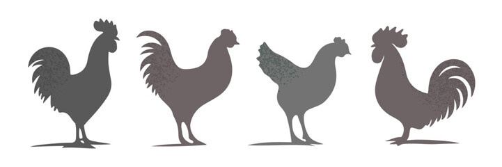 Set of silhouettes of vintage chickens and roosters on the farm, rustic textured style, black gray colors, isolated on white background, farm animals, vector. clean layout
