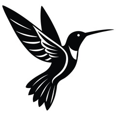 vector hummingbird in flight with gradient feather