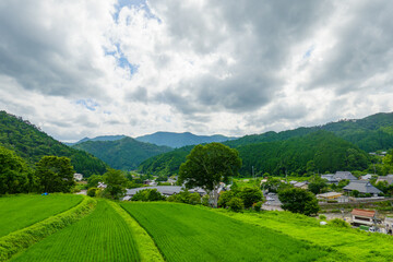 夏の日本の田舎、緑豊かな水田と山々が広がる農村風景 © Kazutaka