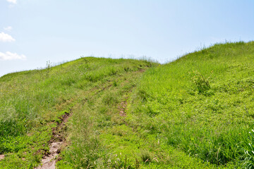 Fototapeta premium Grassy Hillside Path Under a Clear Blue Sky