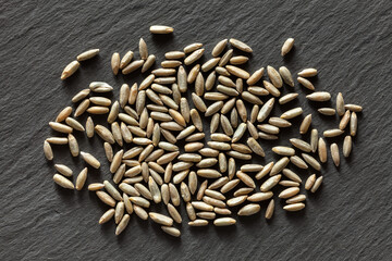 Whole Rye Seeds on Slate Background