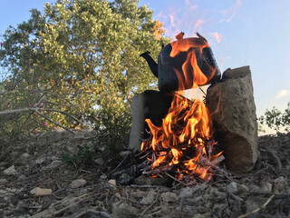 A teapot on the Firewood in nature	