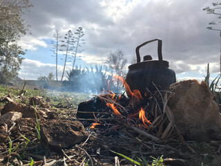 A teapot on the Firewood in nature	