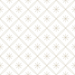 Fototapeta premium Indian Traditional Jaali Design Element 