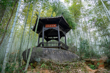 A traditional Chinese pavilion nestled among bamboo groves on a hillside.