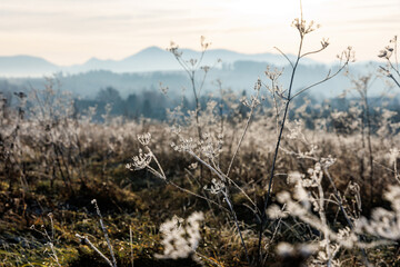Frozen grass meadow with mountains in distance
