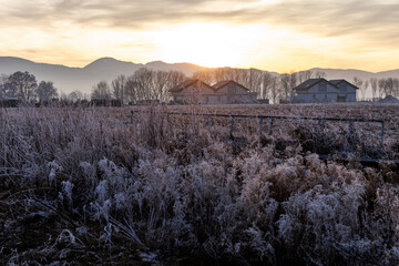 Frosty rural field at sunrise with houses and trees