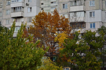autumn in the city park