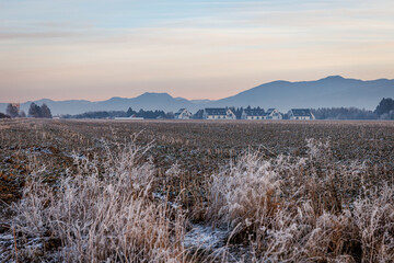 Obraz premium Frosty farmland with distant houses and mountains