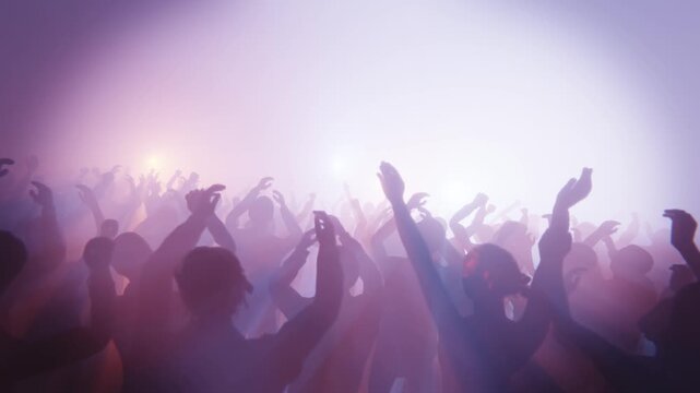 Energetic crowd enjoying a music concert with hands in the air and vibrant lighting