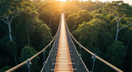Suspension bridge over lush green forest canopy bathed in golden sunlight