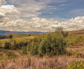 Composite panorama of the landscape of the La Candelaria desert, with dense bright clouds at the horizon, in the eastern Andean mountains of central Colombia, near the town of Raquira.