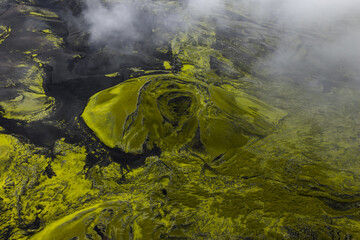 Aerial view of bright green moss clinging tenaciously to the dark volcanic earth, a stark contrast under a soft, diffused light, Highlands Of Iceland, Sveitarfélagio Hornafjorour, Iceland.