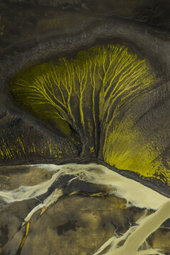 Aerial view of a striking, tree-like pattern of vibrant yellow sediment against the dark, rugged terrain, Highlands Of Iceland, Sveitarf&eacute;lagio Hornafjorour, Iceland.