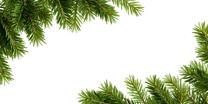 christmas tree branches frame on transparent, Christmas frame png