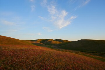 Obraz premium Rolling hills under a clear blue sky with wispy clouds at sunset create a serene scene
