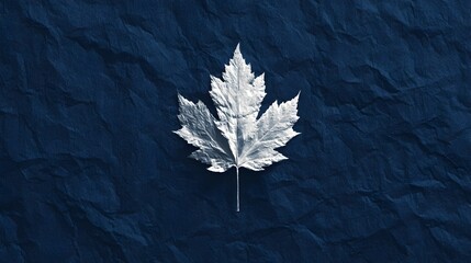 Silver Maple Leaf on Crumpled Denim