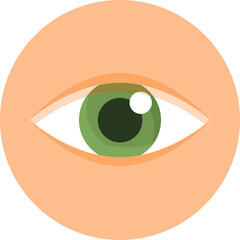 Simple Graphic Illustration of a Green Eyeball Within an Orange Circular Outline Against a Transparent Background Perfect for Medical or Optical Themes