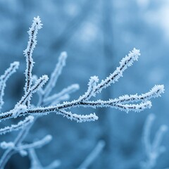 Delicate crystalline hoarfrost covers winter branches, bathed in a serene, subtle blue light. A tranquil and cold atmospheric scene ,soft blue ,blue ,frozen
