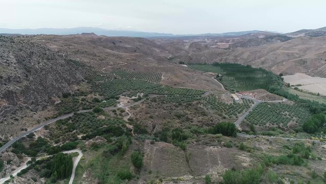 Aerial landscape of the Rio Fardes valley with olive groves and winding roads