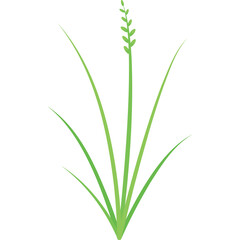Simple Green Plant Icon With Tall Stem And Blades On Transparent Background