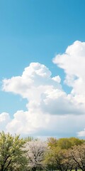 Obraz premium Blue sky with fluffy white clouds over a landscape dotted with blossoming trees, trees, blossom