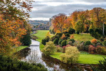 Autumn landscape from a viewpoint at Fountains Abbey, with trees glowing in warm fall colors under soft light and the abbey partially visible within the scenic vista - 2