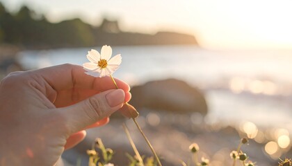 Hand holds a small, white flower against a softly blurred seascape at golden hour