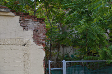 Texture of a brick wall with old, peeling paint in some partially ruined buildings