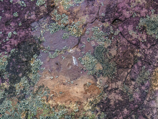 The texture and colors  of a rock in the desert, macrophotography captured in La Candelaria desert, in the eastern Andean mountains of central Colombia, near the town of Raquira.