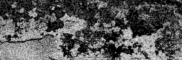 Halftone overlay resembling fungus mold. White mildew texture on black background. Grange vector banner for design and creative projects © gorozhinak