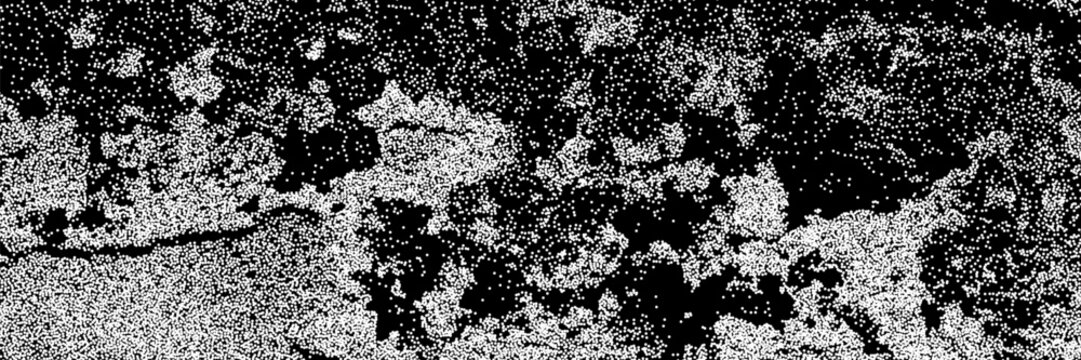 Halftone overlay resembling fungus mold. White mildew texture on black background. Grange vector banner for design and creative projects