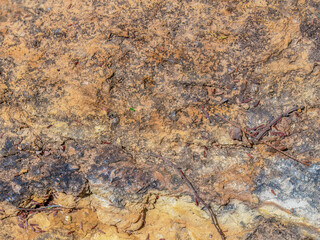 The texture and colors  of a rock in the desert, macrophotography captured in La Candelaria desert, in the eastern Andean mountains of central Colombia, near the town of Raquira.