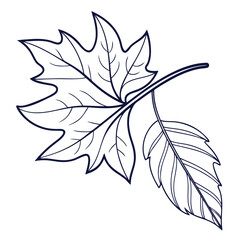 black and white Leaf